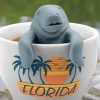 manatea infuser