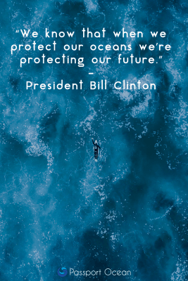 15 Quotes To Save The Ocean - Passport Ocean